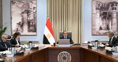 رئيس الوزراء يستعرض مقترحًا لتنفيذ مشروع مدينة المستشفيات والمعاهد الطبية بالعاصمة الجديدة