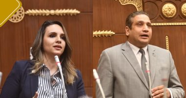 نواب تنسيقية شباب الأحزاب بالشيوخ يطالبون بخطة شاملة لتطوير المطارات المصرية