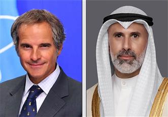 وزير الخارجية يؤكد أهمية دور «الطاقة الذرية» في ترسيخ معايير الأمن والأمان النووي