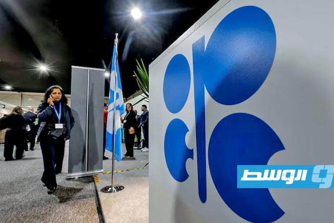 مسؤول إماراتي: انسحابنا من «أوبك وأوبك بلس» يخدم أهدافنا الاستراتيجية بعيدة المدى