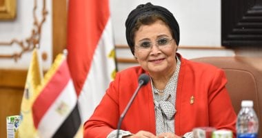 نائب وزير الصحة تستعرض التجربة المصرية فى تعزيز الرعاية المستدامة فى جنيف