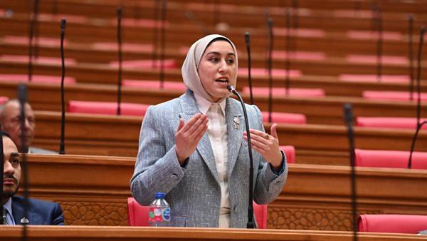 تصعيد برلماني ضد زيادة أسعار كهرباء العدادات الكودية.. النائبة صافيناز طلعت تطالب بوقف القرار