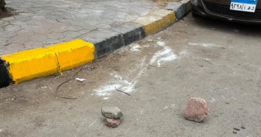 برسم الركنة الإجباري.. صرخة استغاثة من أهالي الدقي ضد "سماسرة الشوارع"