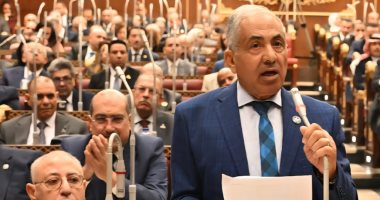 وكيل مجلس الشيوخ: القيادة السياسية نجحت فى تحقيق عبور جديد لأرض الفيروز