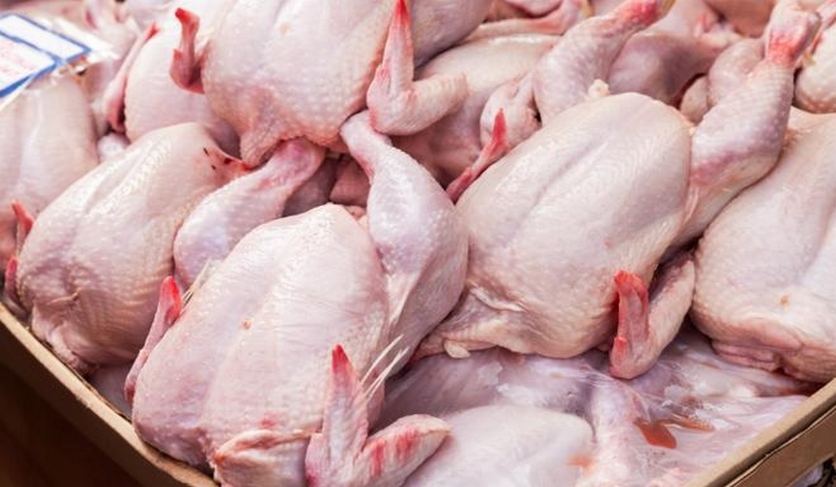 اليوم تطبيق الأسعار القصوى الجديدة لبيع الدواجن