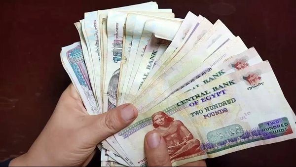 تفاصيل زيادات أجور المعلمين والأطباء في الموازنة الجديدة