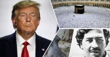 أهم أخبار العرب والعالم حتى الظهيرة..رئيس الشئون الدينية بالحرمين الشريفين: الالتزام بتصريح الحج ضرورة شرعية..ترامب يرفض الاعتذار لبابا الفاتيكان ويدافع عن صورة المسيح..كولومبيا تعدم 80 فرس نهر تابع ل