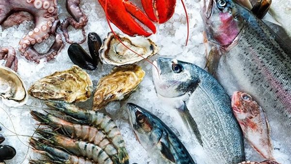 سعر السمك اليوم، البلطي يتجاوز الـ 70 وارتفاع السبيط 30 جنيها