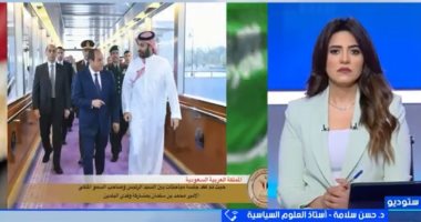خبير لإكسترا نيوز: مصر ركيزة الاستقرار الإقليمي