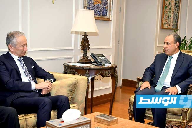 وزير الخارجية المصري والمبعوث الياباني يناقشان إعادة الإعمار في غزة