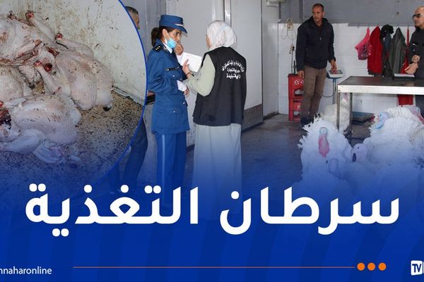 حجز أكثر من 900 كلغ لحوم بيضاء خطيرة في البليدة