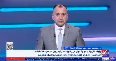 خبير العلاقات الدولية: القضية الفلسطينية لا تغيب عن أجندة السياسة المصرية