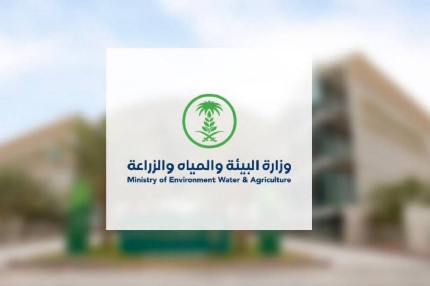 20 مليوناً للنفايات ومليون ونصف للحيتان.. البيئة تغلظ عقوبات السواحل