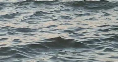 تفاصيل مصرع "يوسف" و"أمين" في نهر النيل بالحوامدية