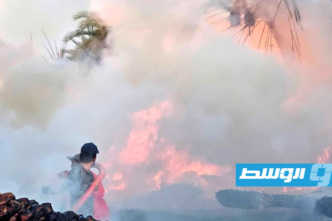 تجدد حرائق النخيل في تازربو يفاقم خسائر المزارعين (صور)