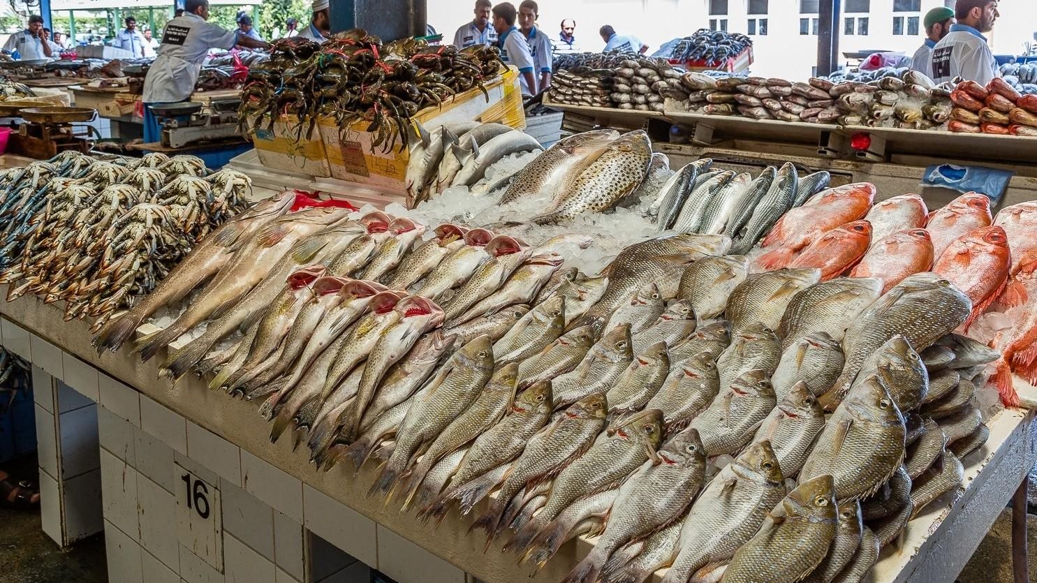 البلطي يبدأ من 69 جنيهًا والجمبري يواصل الارتفاع.. أسعار الأسماك اليوم الأحد