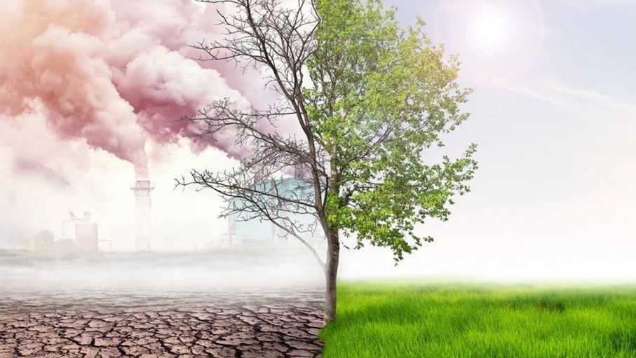 المعرفة البيئية الموثوقة.. أساس السياسات الفاعلة في مواجهة التحديات البيئية
