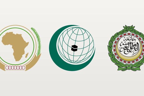 إدانة عربية وإفريقية وإسلامية لمخططات الضم والاستيطان الإسرائيلية في الأرض الفلسطينية المحتلة