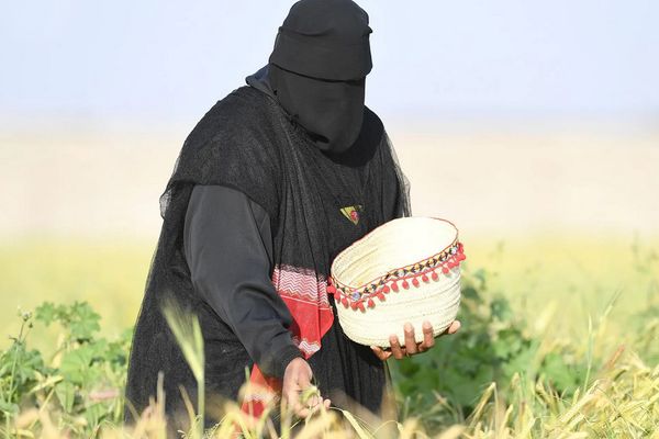 «تمكين المرأة زراعياً».. لتعزيز الأمن الغذائي والتنمية المستدامة