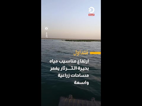 Rising water levels in Lake Tharthar submerge vast agricultural areas