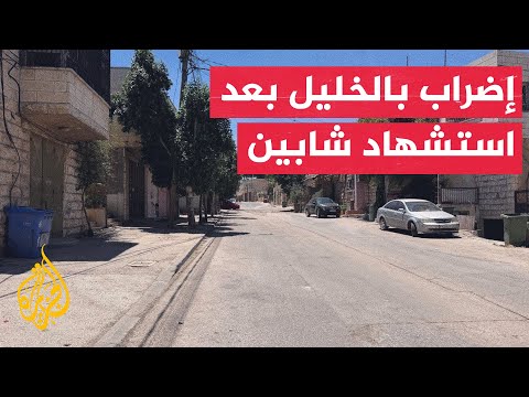 Palestinian Ministry of Health: Child and Young Man Killed by Occupation Forces in Hebron