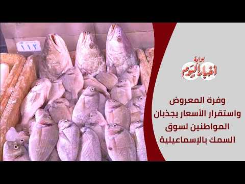 وفرة المعروض واستقرار الأسعار يجذبان المواطنين لسوق السمك بالإسماعيلية