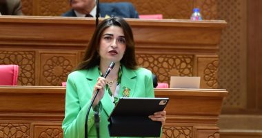 برلمانية الإصلاح والتنمية: ندعم استقرار ليبيا ويجب خروج الميلشيات المرتزقة
