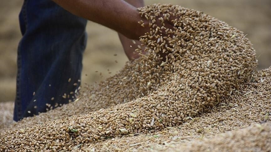 “الفاو” تحذر من النقص الفوري في الغذاء بسبب الحرب على إيران والوضع الراهن بمضيق هرمز