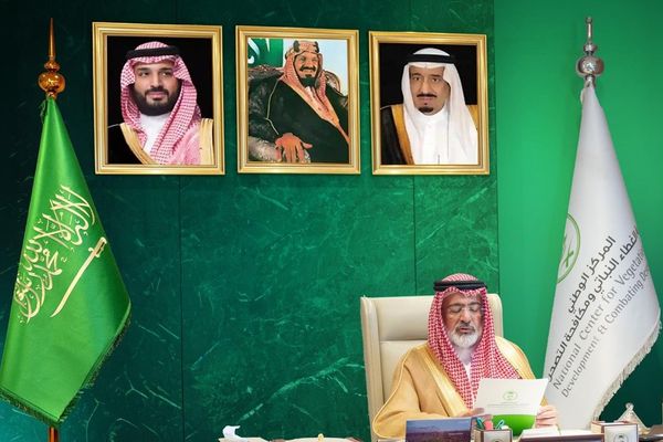 المملكة تستعرض جهودها لاستعادة الأراضي وتنمية المراعي الطبيعية