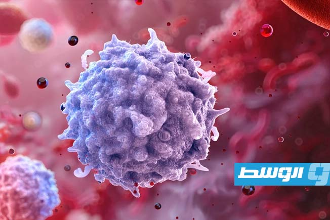 دراسة تكشف أن الخلايا المناعية «تتذكر» أعراض السمنة لفترة طويلة بعد فقدان الوزن