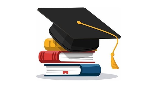 نتيجة الصف السادس الابتدائي 2026 بالجيزة، رابط الاستعلام بالرقم القومي