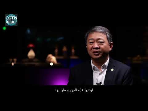 علبة مسحوق من قبل 800