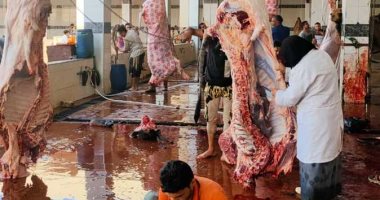 العيد الأخضر استدامة مش استهلاك.. كيف ننهي عصر تلوث الأضاحي ونحول المخلفات إلى ثروة؟.. دليل عملي لتحويل جلود الأضاحي ومنتجاتها إلى ذهب سائل وسماد عضوي يحيي الأراضي الزراعية بدلًا من تلويث الشوارع