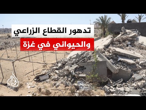 How did the agricultural and livestock sector in Gaza deteriorate?