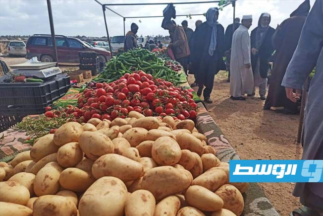 «الاقتصاد»: هكذا انخفضت أسعار الخضراوات بعد قرار حظر تصدير المنتجات الزراعية
