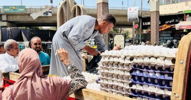 أرخص طبق بيض.. شاب بقنا يبيعه بـ 100 جنيه من المزرعة للزبون