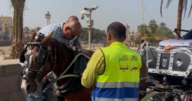 مدينة الأقصر تنفذ حملات للتحفظ على عربات الحنطور المخالفة بالكورنيش
