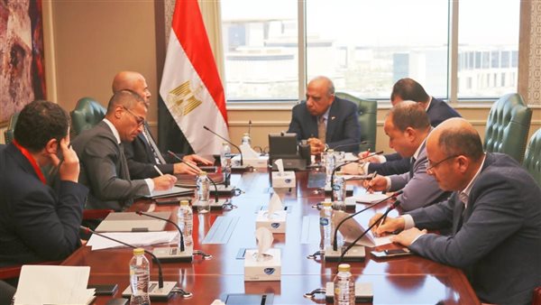 وزير الكهرباء يبحث مع «إنكوم» آليات توفير الطاقة لإقامة مشروع مركز عالمي للبيانات