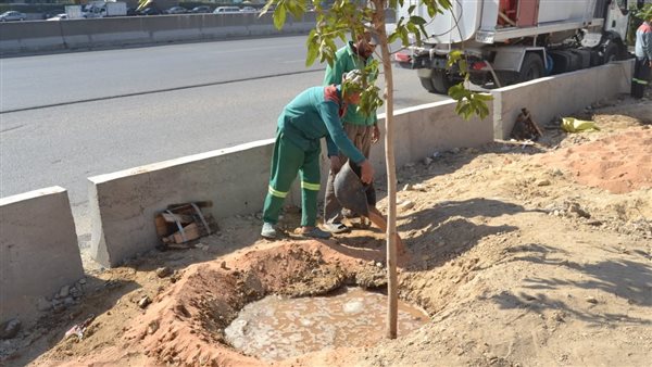 التقديم حتى 20 مايو، هيئة نظافة القاهرة تعلن وظائف قيادية