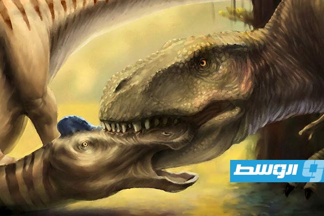 دراسة حديثة تكشف عن دليل نادر على سلوك الصيد لدى ديناصور «تيرانوصور ركس»
