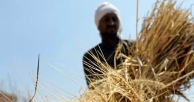 لماذا يعد ختام شهر "برمودة" العيد الحقيقي للفلاح فى مصر؟
