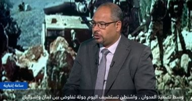 باحث: القرار 1701 يمثل الإطار الأنسب لتسوية النزاع بين إسرائيل ولبنان