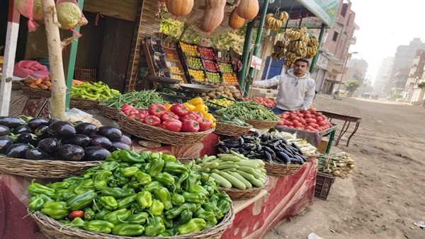 بشرى للمواطنين.. الطماطم بـ20 جنيهًا والبصل والبطاطس ثابتين|فيديو