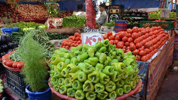 سعر الخضار اليوم، ارتفاع مفاجئ لـ الطماطم والليمون يسجل 70 جنيها