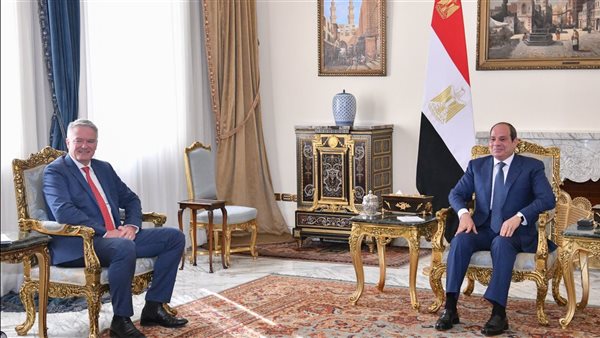 السيسي: مصر تستضيف 10 ملايين أجنبي يحصلون على الخدمات كالمصريين دون استغلال سياسي