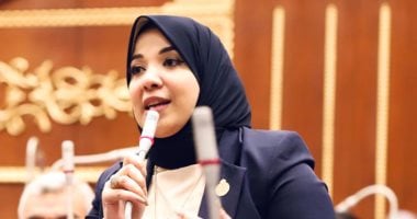 النائبة دينا هلالي: قانون العلاوة دعم للعاملين واستثمار في رأس المال البشري