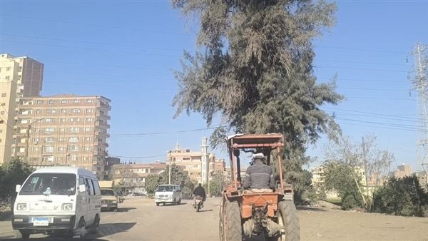 تحول إلى حفر ومطبات، طريق "طوخ - شبين" عذاب للطلاب ومصيدة للموت والسائقون: "جالنا الغضروف بسببه" (فيديو)