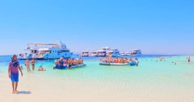 جزيرة سيال.. أيقونة السحر والجمال في البحر الأحمر