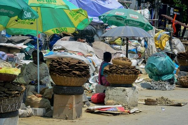 الصحةُ العالميّةُ: وفاةُ نحو 1.5 مليون شخص سنويًّا بسبب الأغذية غير المأمونة