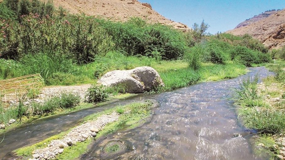 عيون وينابيع المياه في الكرك بأفضل حالاتها.. ودعوات لمتابعة صيانتها وديمومتها